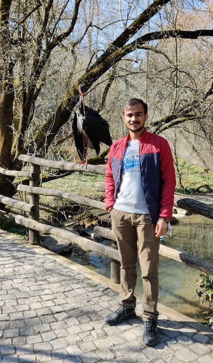 Description of the first image